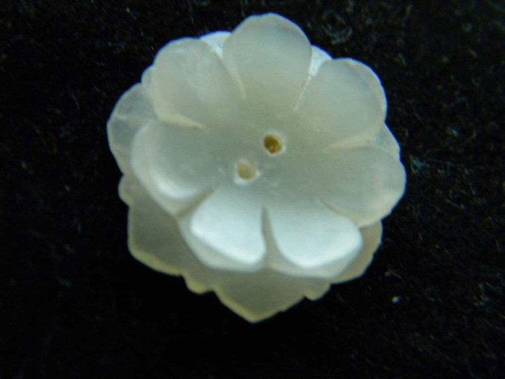 Antique Chinese Nephrite White Jade Flower Button